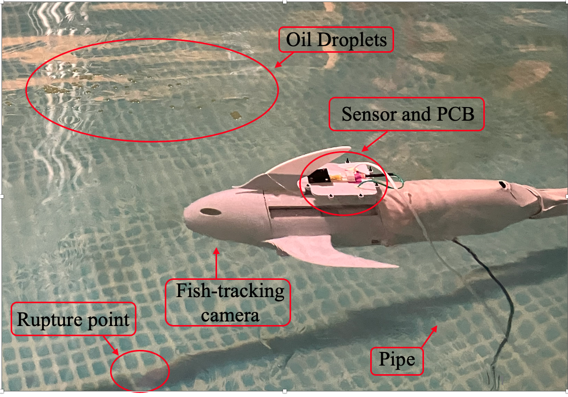 Experimental testing of the robotic fish near a submerged pipe rupture point
